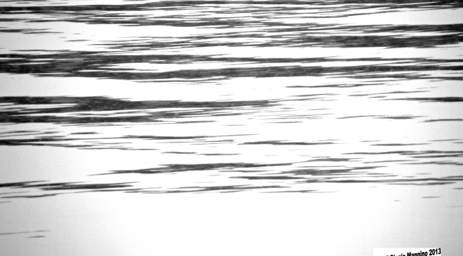 “E allora perché non dare del lui?”. La risposta alla… risposta.