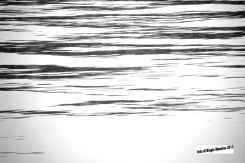 830480_4471158819175_617803408_o