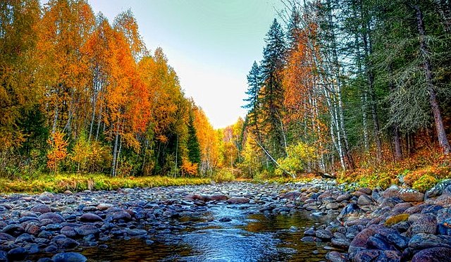 Checkpoint: gli Uiguri dell’irrinunciabile Xinjiang. VIDEO.