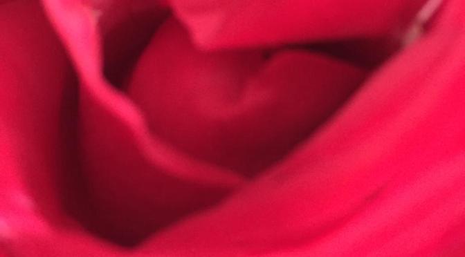 L’intervista di Sabrina Ciccotti: 14 novembre 2021 -FIRENZE Manifestazione in Rosa. PODCAST.