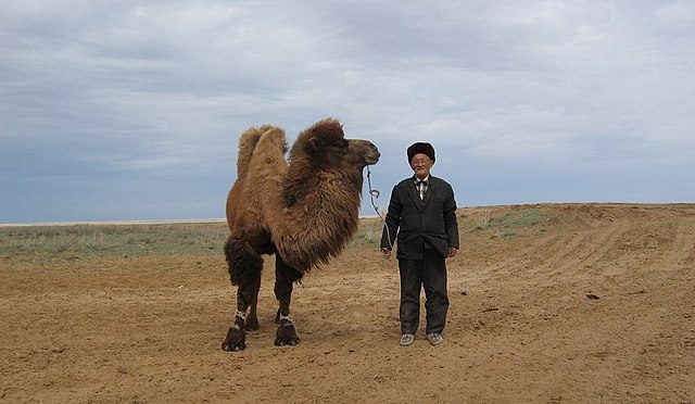 IL PODCAST DI OGGI: in tutto il Kazakistan violente manifestazioni contro gli aumenti dei carburanti e del gas.