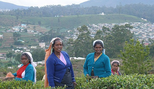 Lo Sri Lanka esempio del fallimento del “sistema” politico mondiale.