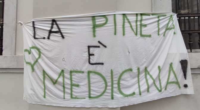 Sabato 2 dicembre 2023 una conferenza stampa aperta alla cittadinanza sulle firme raccolte pro pineta di Cattinara.