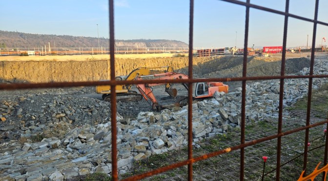 Trieste: quando a Cattinara c’era una pineta… Adesso c’è… “un bel groviglio!”